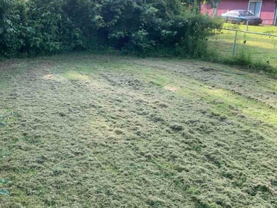 Lawn Care service in Marion, 72364