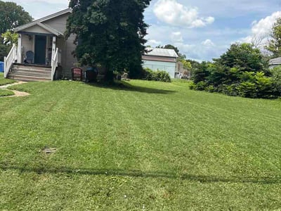 Lawn Care service in Festus, 63028