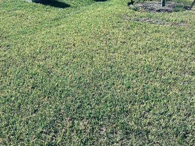 Lawn Care service in Willis, 77378