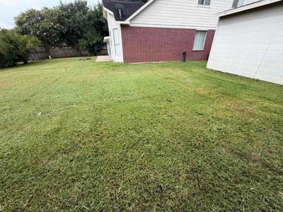 Lawn Care service in Willis, 77378