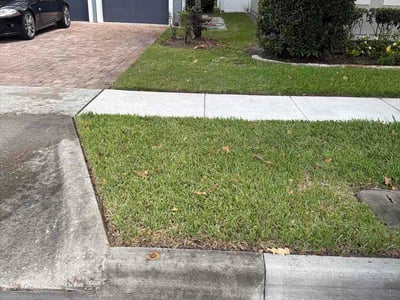 Lawn Care service in St Cloud, 34769