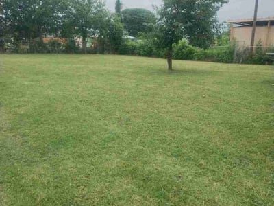 Lawn Care service in Colleyville, 76034