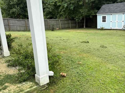 Lawn Care service in Leland, 28451