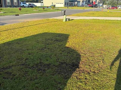 Lawn Care service in Leland, 28451