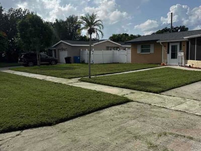 Lawn Care service in Lutz, 33549