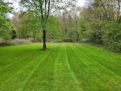 Lawn Care service in North Andover, 01845