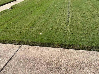 Lawn Care service in Keller, 76248