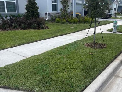 Lawn Care service in Winter Park, 32789
