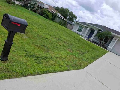 Lawn Care service in North Andover, 01845