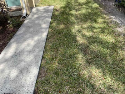 Lawn Care service in Casselberry, 32707