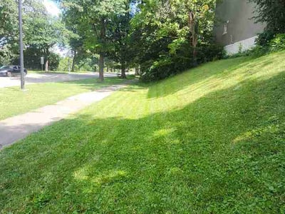 Lawn Care service in West Chester, 19380