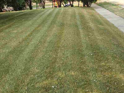 Lawn Care service in Menomonee Falls, 53051