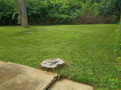 Lawn Care service in Affton, 63123