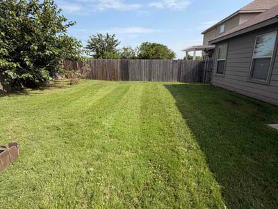 Lawn Care service in Haslet, 76052