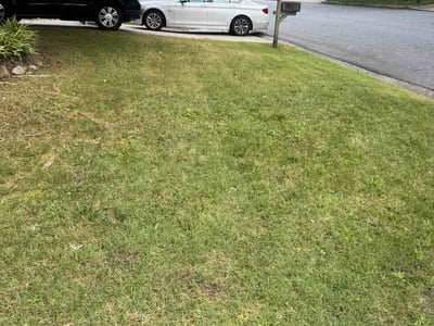 Lawn Care service in Alpharetta, 30009