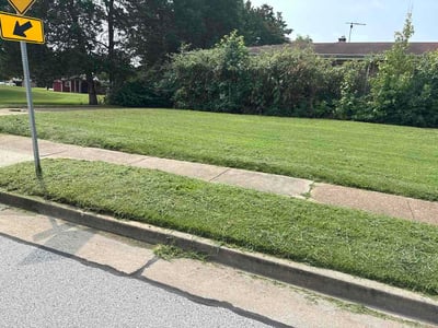 Lawn Care service in Fenton, 63026