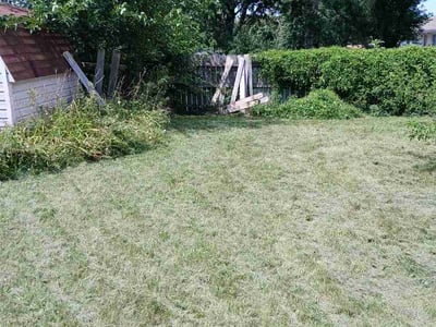 Lawn Care service in Council Bluffs, 51501