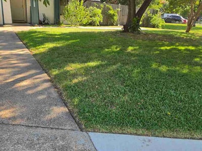 Lawn Care service in Bedford, 76021