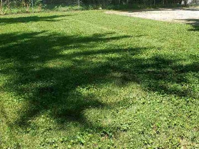 Lawn Care service in Belton, 64012