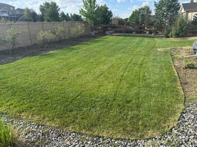Lawn Care service in Pueblo, 81003
