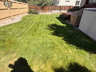 Lawn Care service in Pueblo, 81003