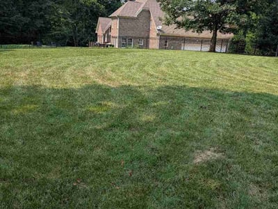 Lawn Care service in Kernersville, 27284