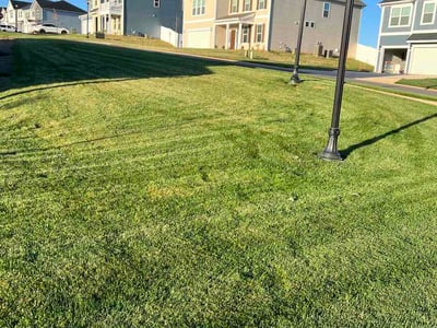 Lawn Care service in Kernersville, 27284