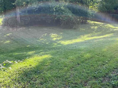 Lawn Care service in Liberty, 64068