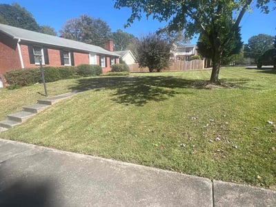Lawn Care service in Thomasville, 27360