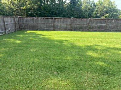 Lawn Care service in Hernando, 38632