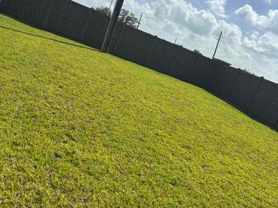 Lawn Care service in Fresno, 77545