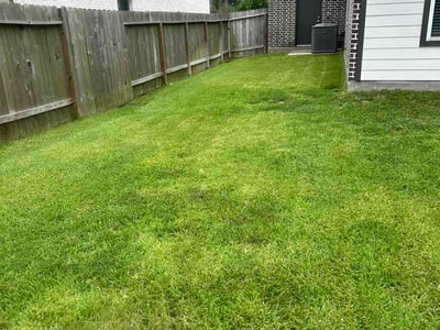 Lawn Care service in Fresno, 77545