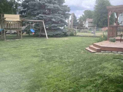 Lawn Care service in Richfield, 55423