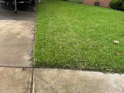 Lawn Care service in Deer Park, 77536