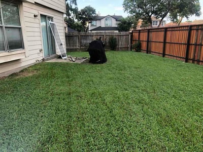 Lawn Care service in Galveston, 77550