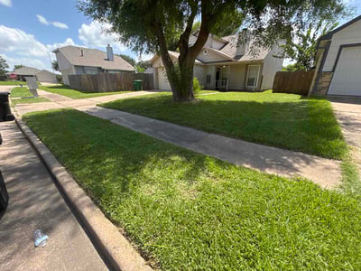 Lawn Care service in Galveston, 77550