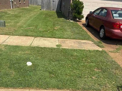 Lawn Care service in Southaven, 38671