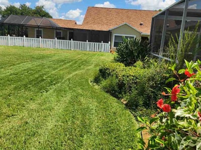 Lawn Care service in Dunedin, 34698