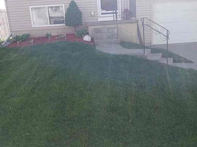 Lawn Care service in Utica, 13501