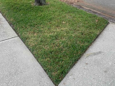 Lawn Care service in Dade City, 33525