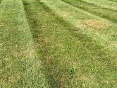 Lawn Care service in Goshen, 46526
