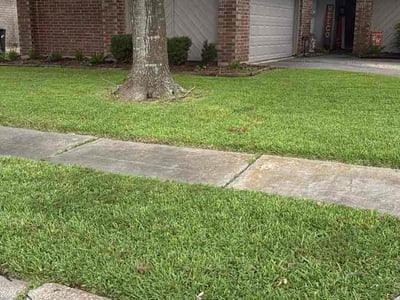 Lawn Care service in Laredo, 78040