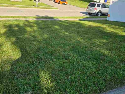 Lawn Care service in Bellevue, 68005