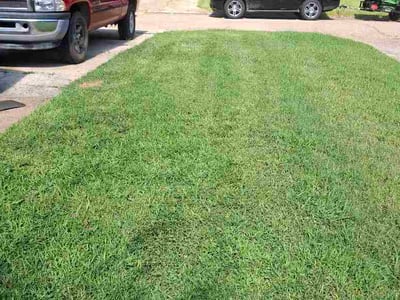 Lawn Care service in Ponchatoula, 70454