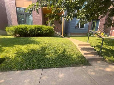 Lawn Care service in Crestwood, 63126