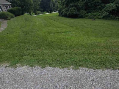 Lawn Care service in Clarksville, 47129
