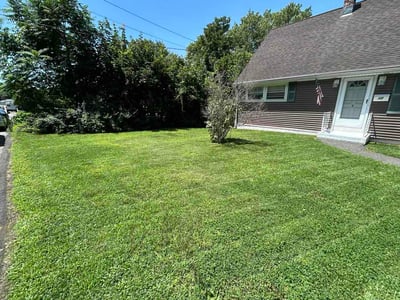 Lawn Care service in Ansonia, 06401
