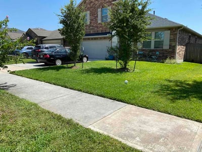 Lawn Care service in Ansonia, 06401