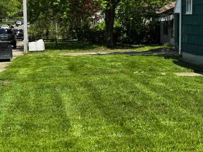 Lawn Care service in Hudson, 54016