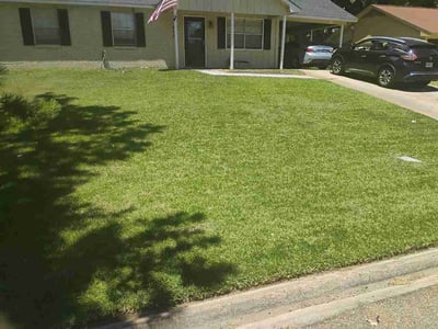 Lawn Care service in Byram, 39272